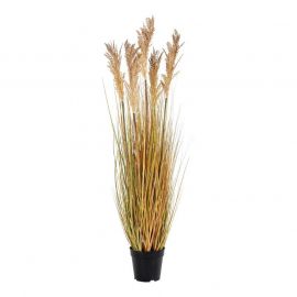 Konstgjord blomma Driftwood