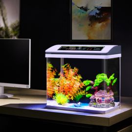 Akvarium Roysten, LED 36x23x38cm / 65x30x50cm vit